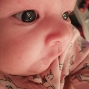 Meet your Posher, Cetara